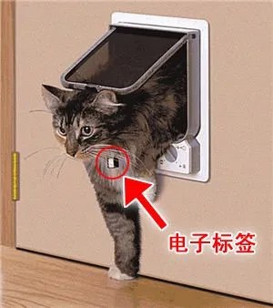 电子标签